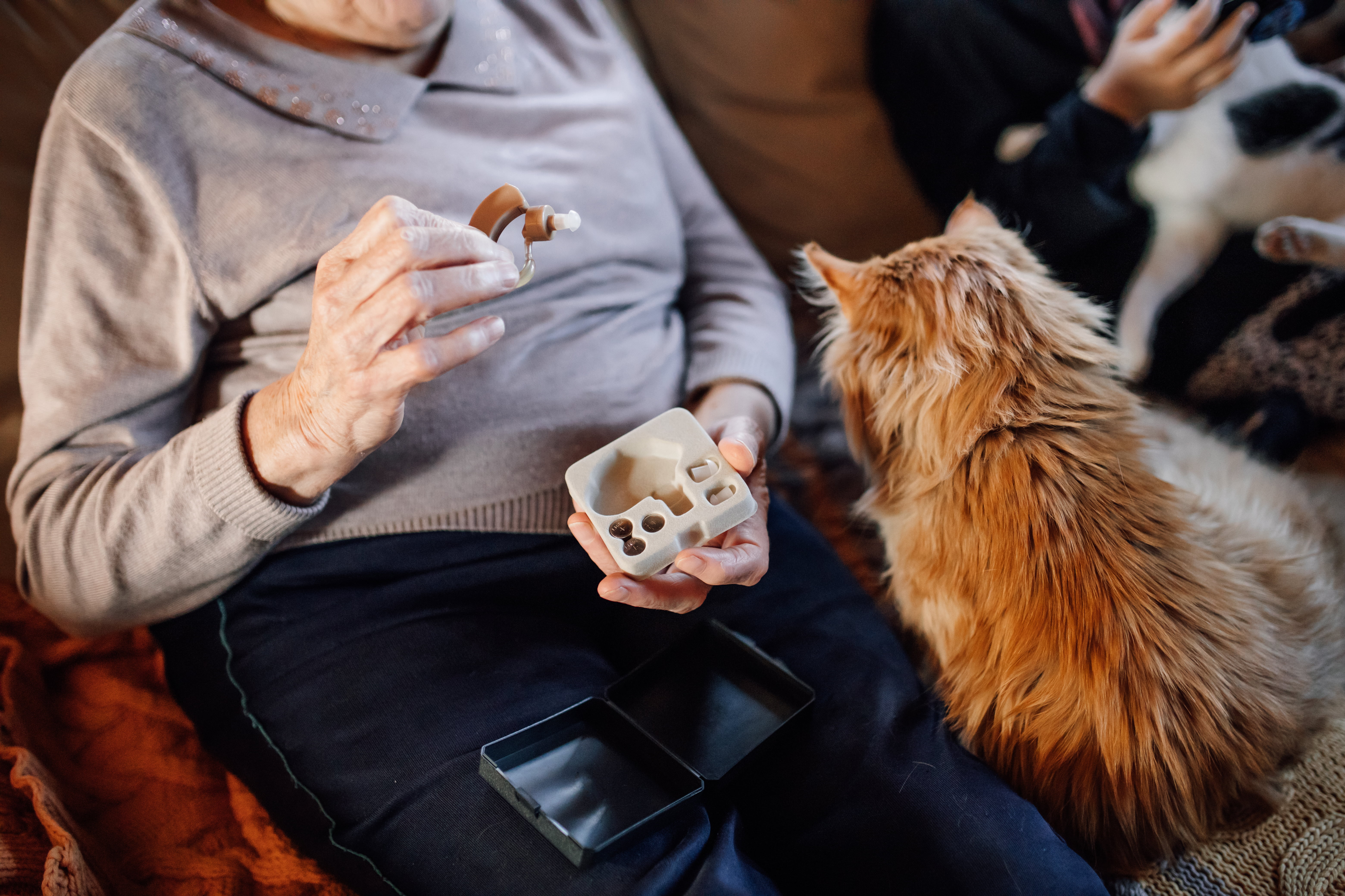 Eldre person sitter i sofaen og holder et høreapparat og et etui, med en katt ved siden av.