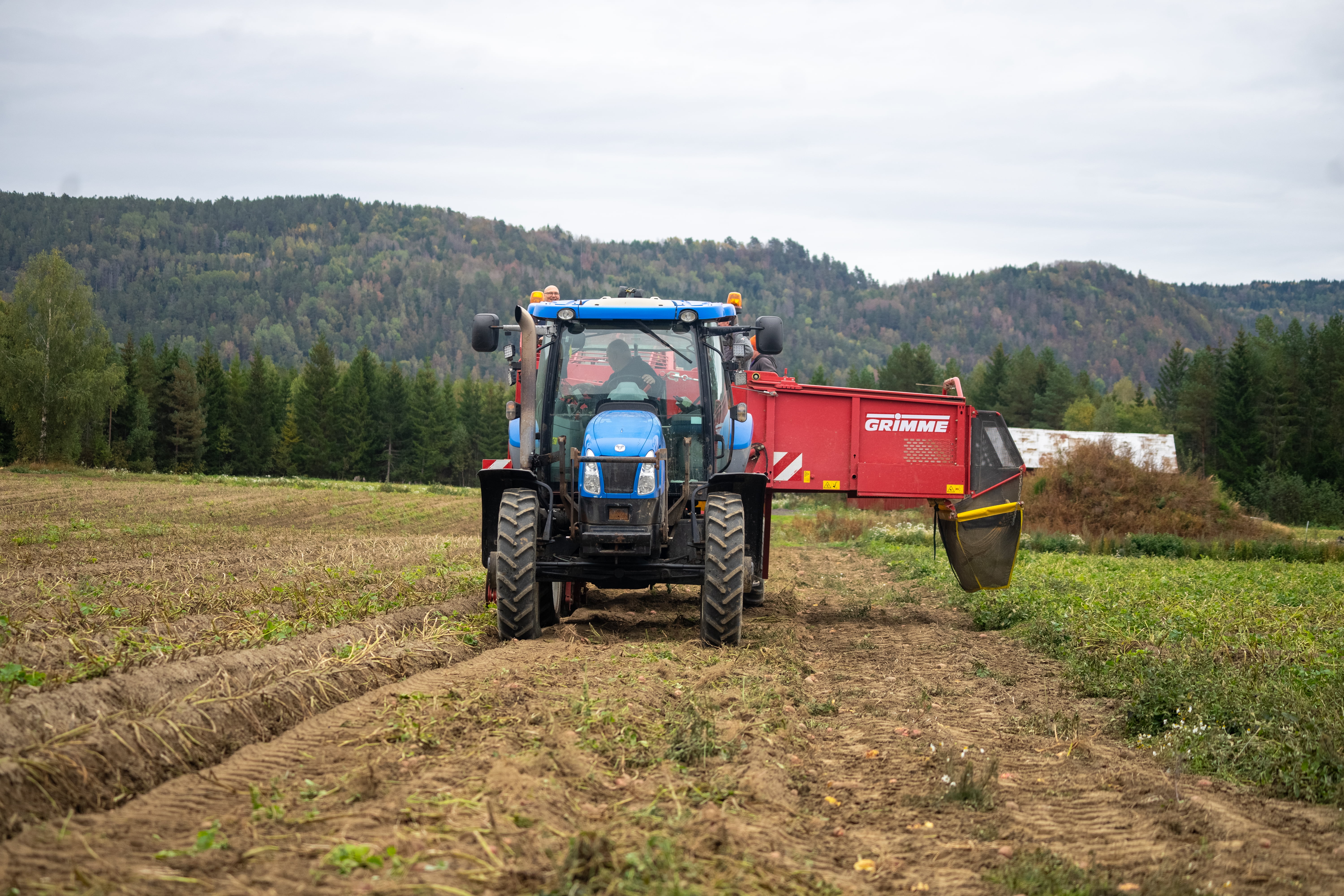 Blå traktor som sår frø på en åker