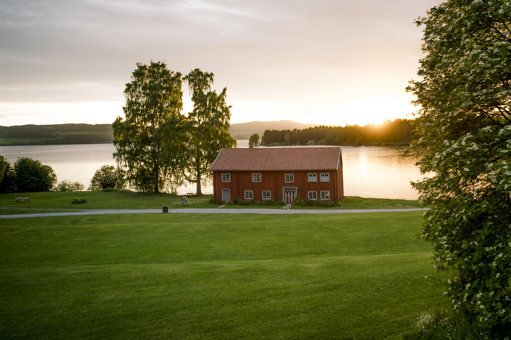 Rødt hus, grønn gressplen og trær i solnedgangen. foto